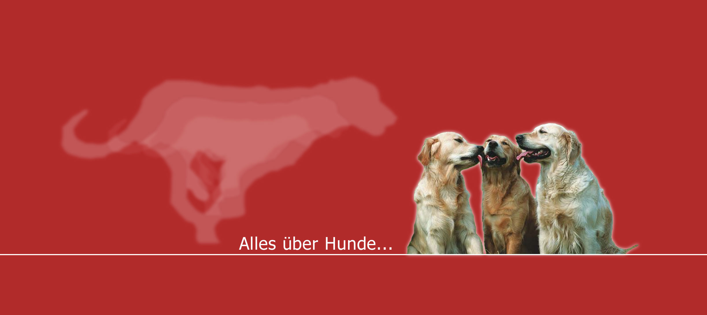 Über 226 Hunderassen sowie Tipps und Tricks zur Hundehaltung und den Hundekrankheiten erwarten Dich