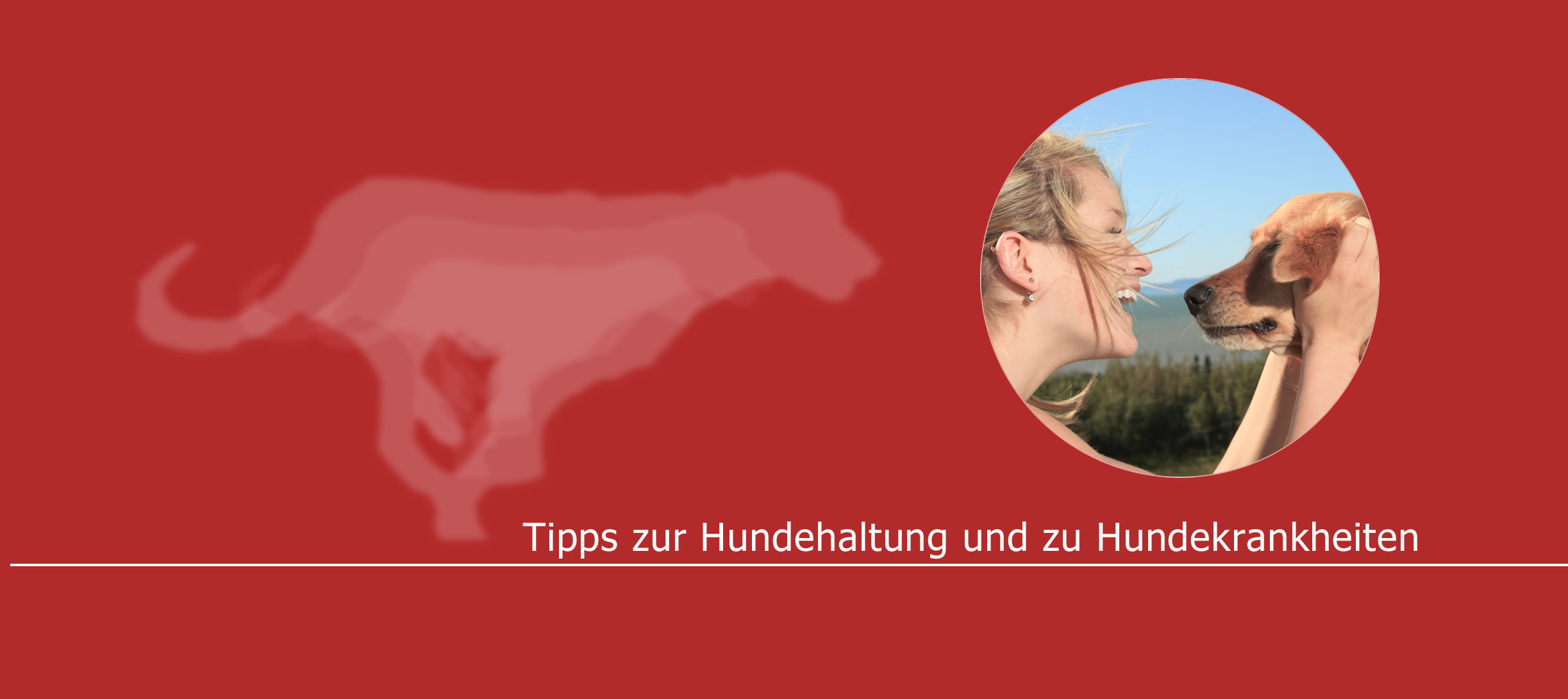 Ist Dein Hund krank? Schau hier nach!